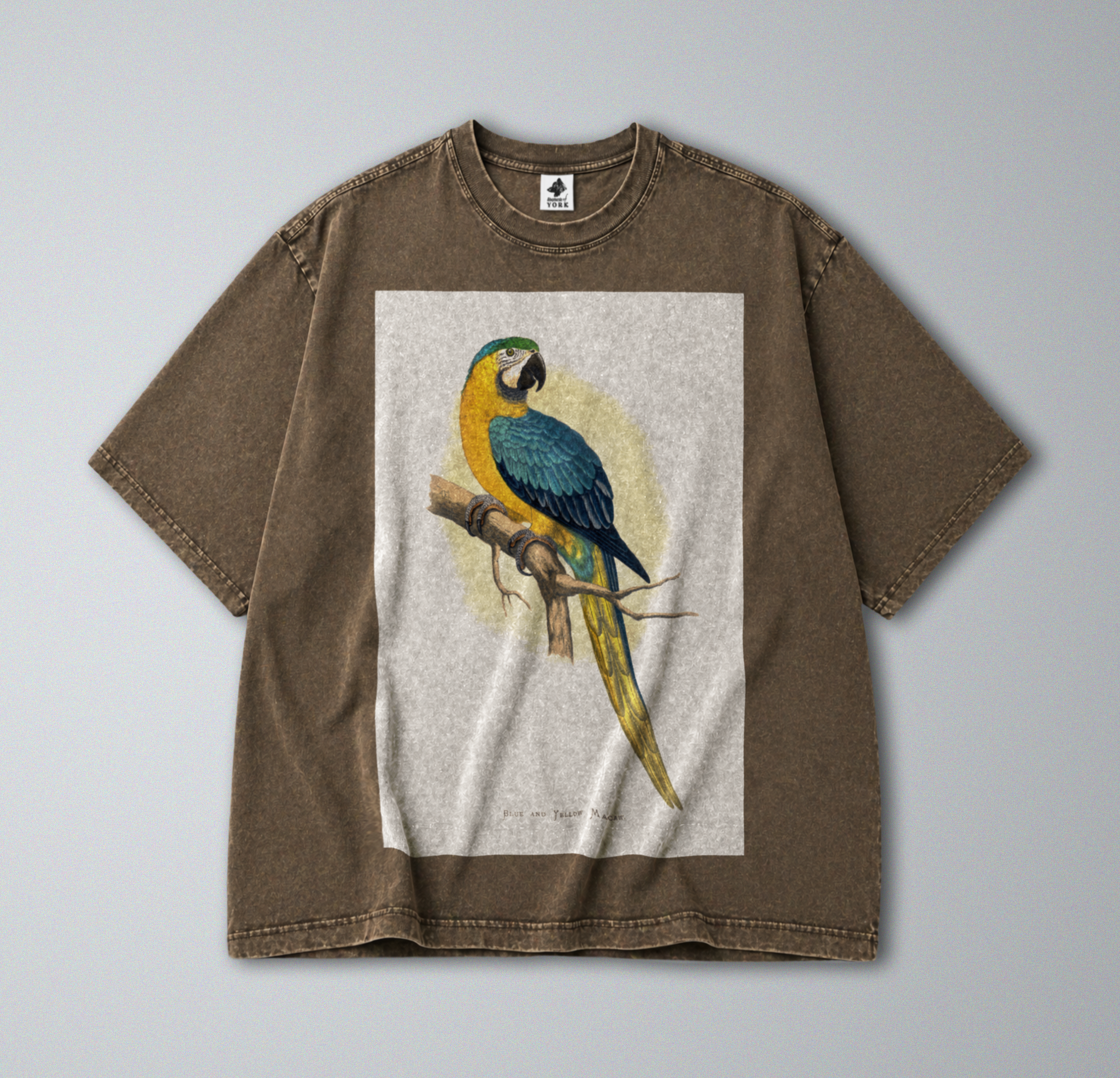 Oversized Snow Washed Cotton Tee - Blue & Yellow Parrot Print