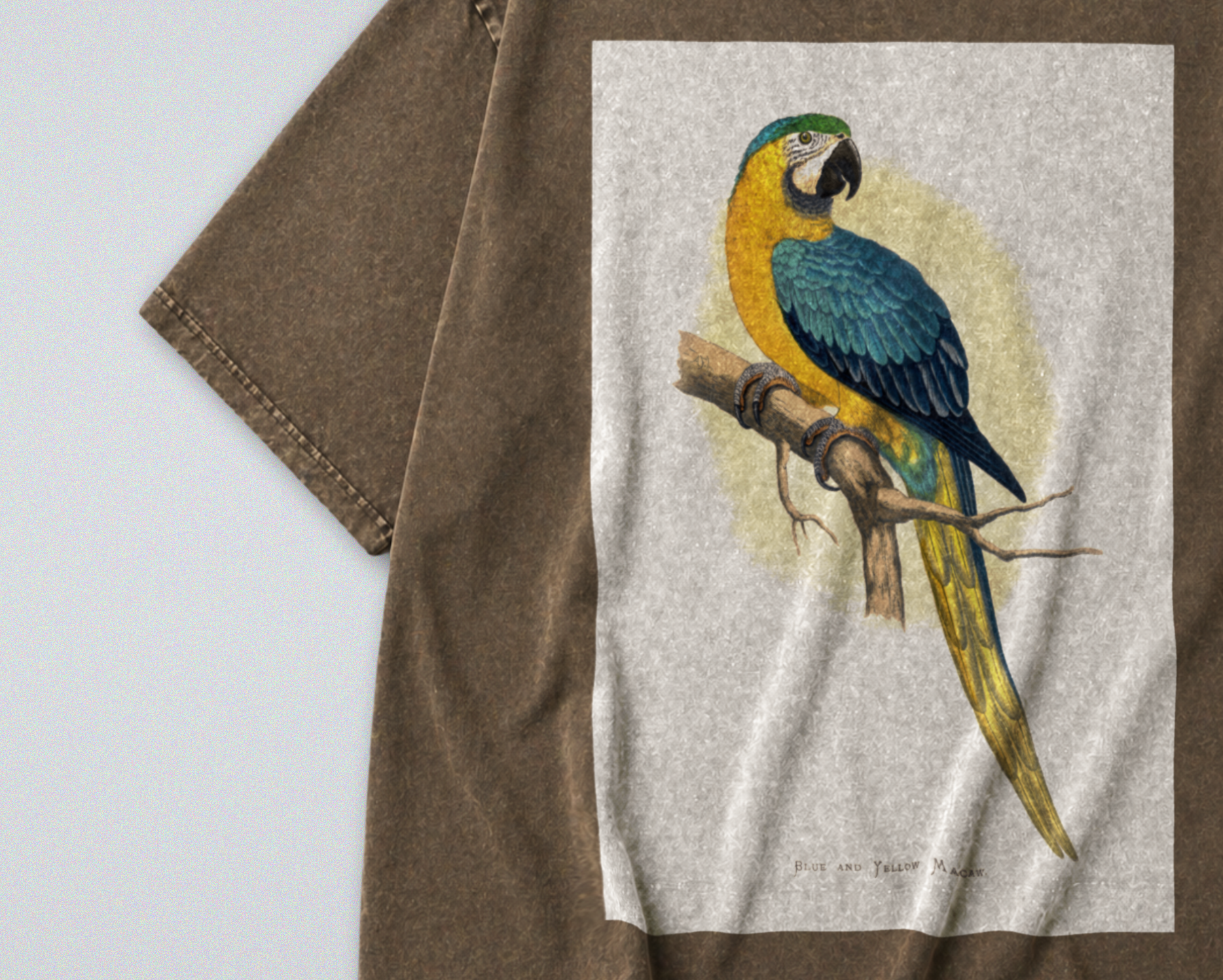 Oversized Snow Washed Cotton Tee - Blue & Yellow Parrot Print