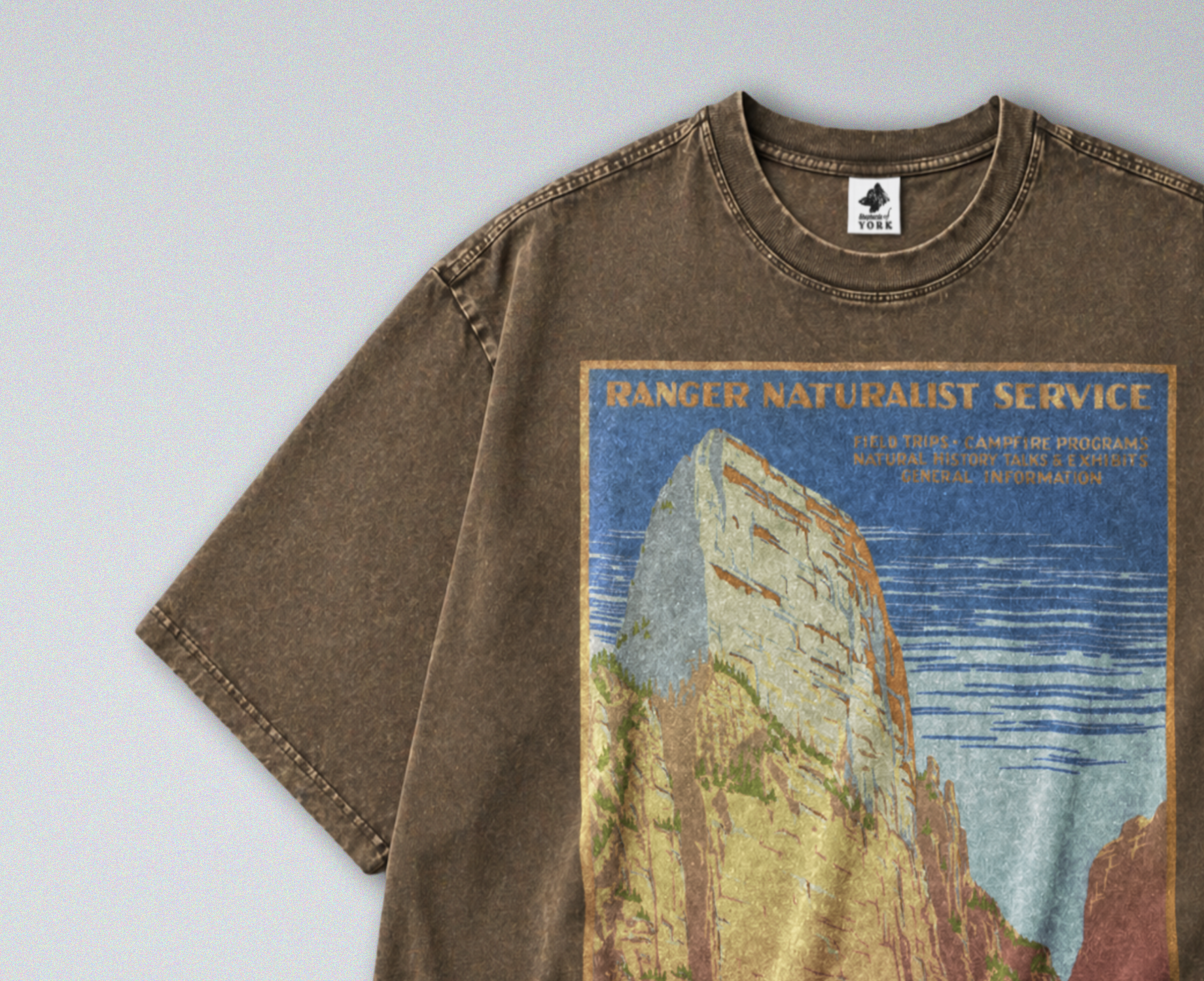 Oversized Snow Washed Cotton Tee - Zion National Park Print