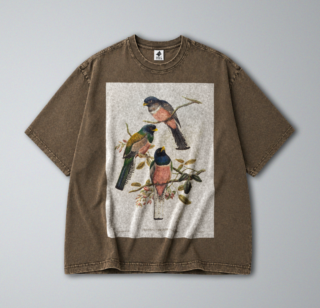 Oversized Snow Washed Cotton Tee - Colorful Perching Birds Print