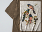 Oversized Snow Washed Cotton Tee - Colorful Perching Birds Print
