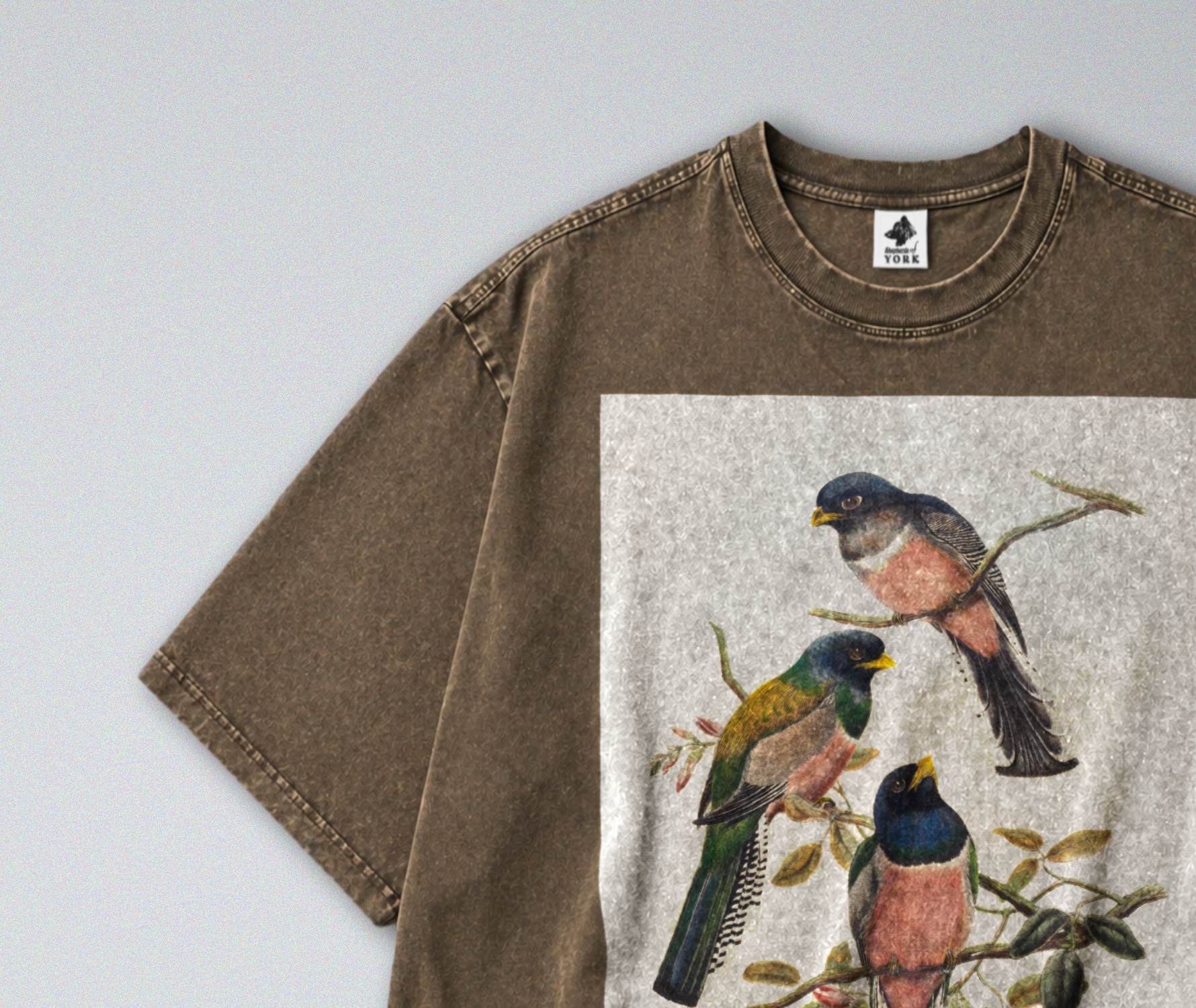 Oversized Snow Washed Cotton Tee - Colorful Perching Birds Print