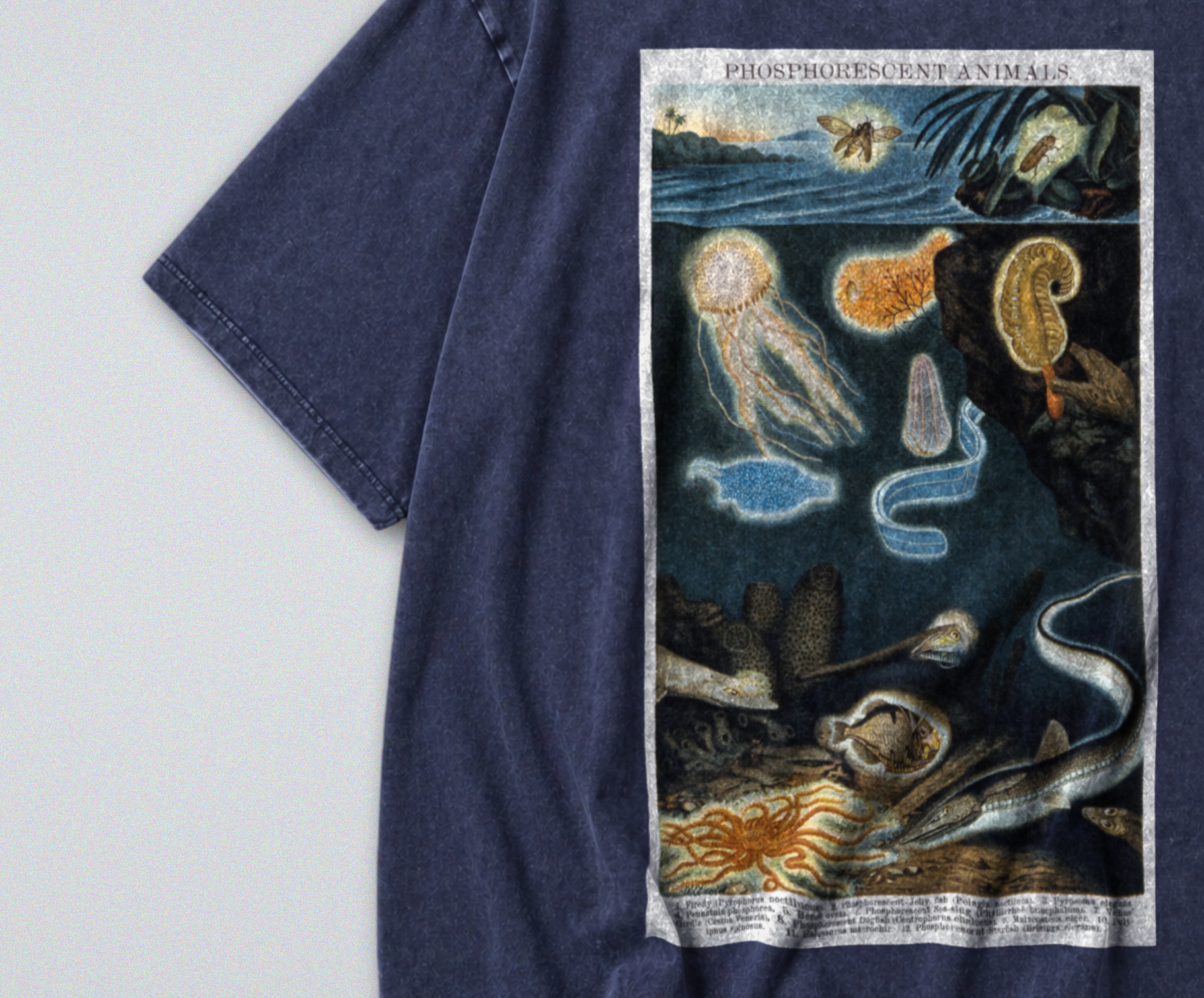 Oversized Snow Washed Cotton Tee - Phosphorescent sea Animals Print