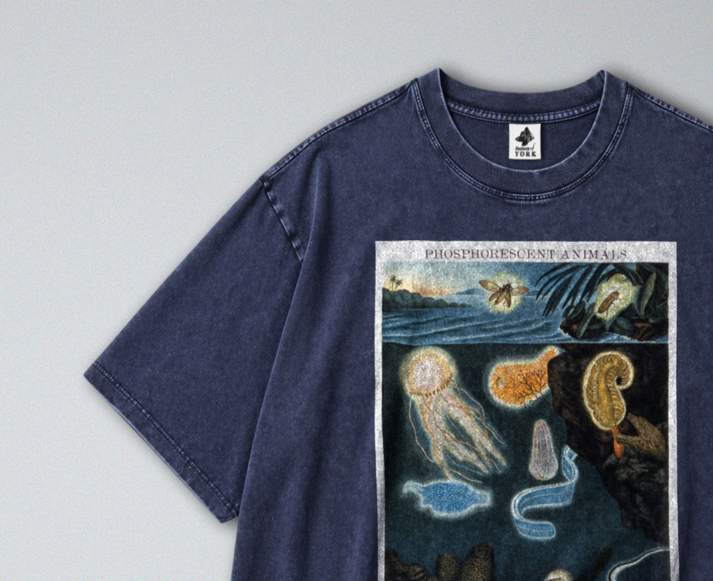 Oversized Snow Washed Cotton Tee - Phosphorescent sea Animals Print
