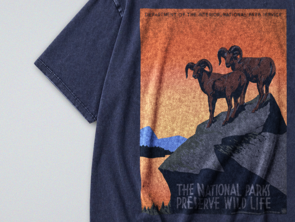 Oversized Snow Washed Cotton Tee - Preserve Wildlife & National Parks Print