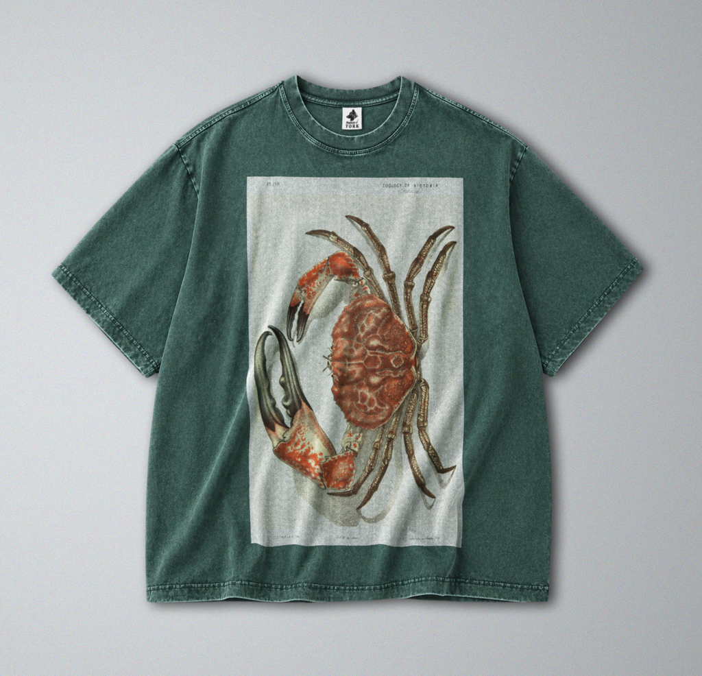 Oversized Snow Washed Cotton Tee - Red Tasmanian Giant Crab Print