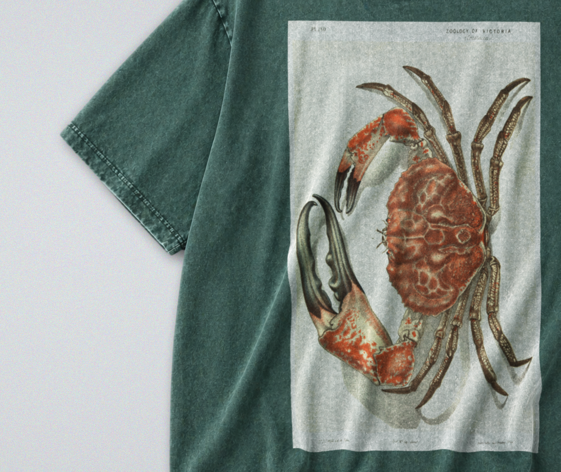 Oversized Snow Washed Cotton Tee - Red Tasmanian Giant Crab Print
