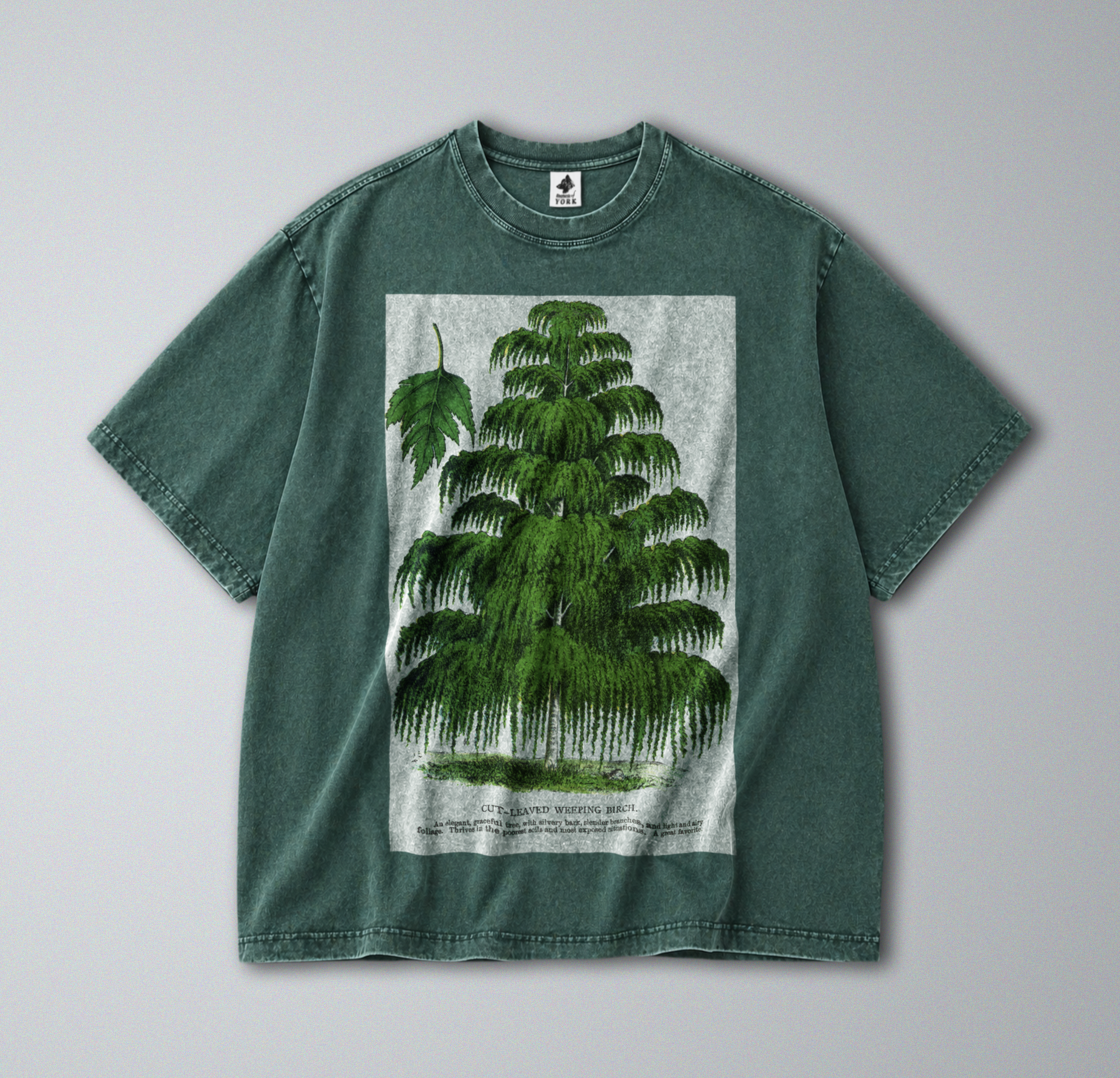 Oversized Snow Washed Cotton Tee - Weeping Birch Tree Print