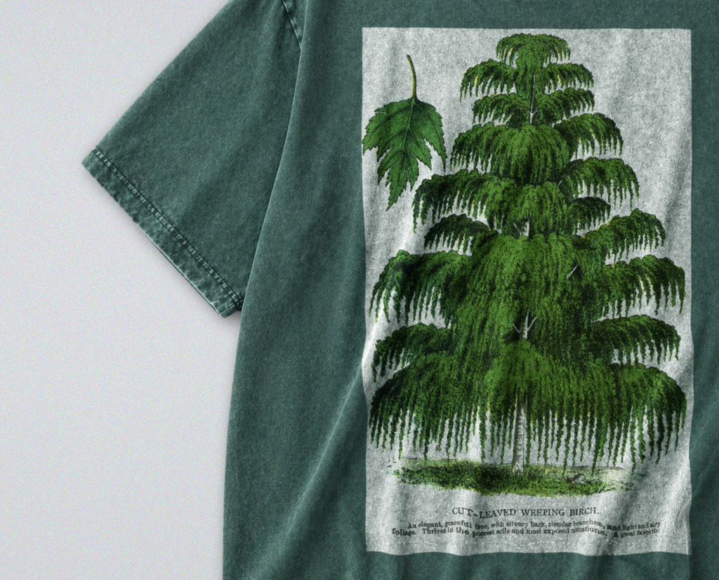 Oversized Snow Washed Cotton Tee - Weeping Birch Tree Print