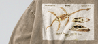 Oversized Snow Washed Cotton Sweatshirt - Plesiosaur Skeleton Fossil Print