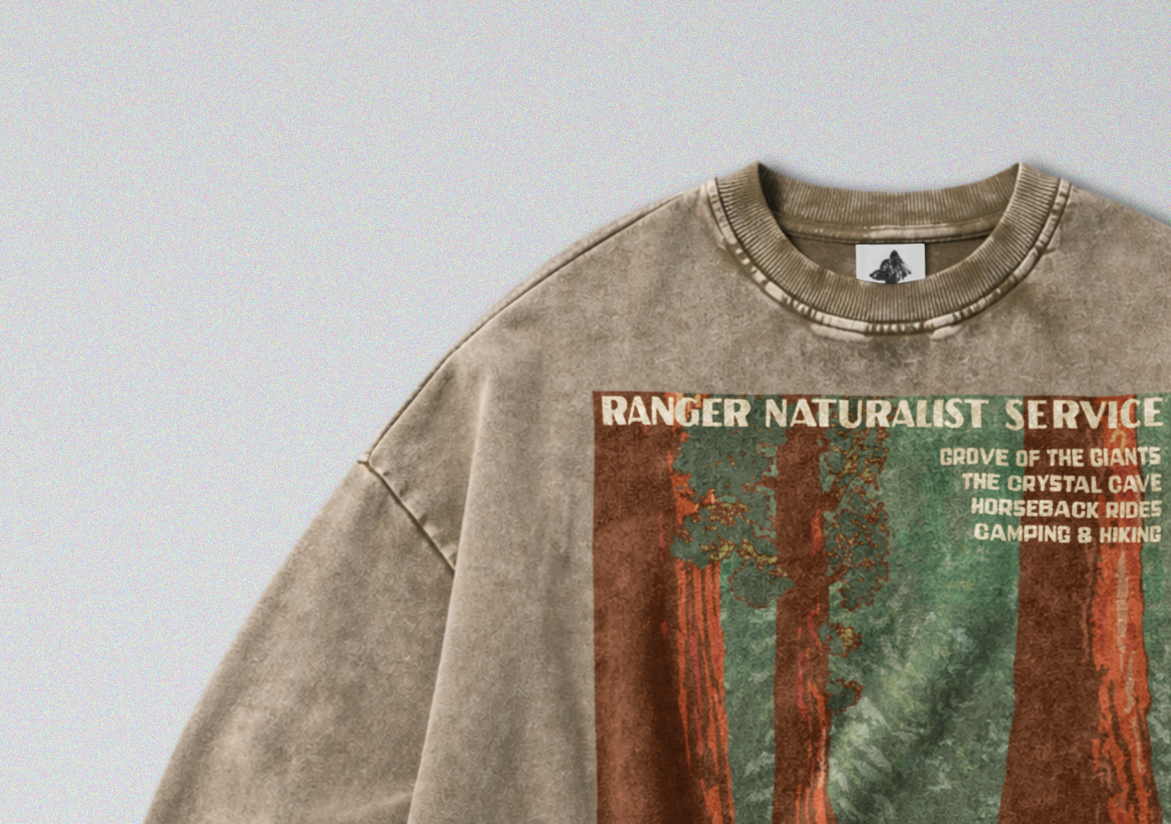 Oversized Snow Washed Cotton Sweatshirt - Sequoia National Park Print