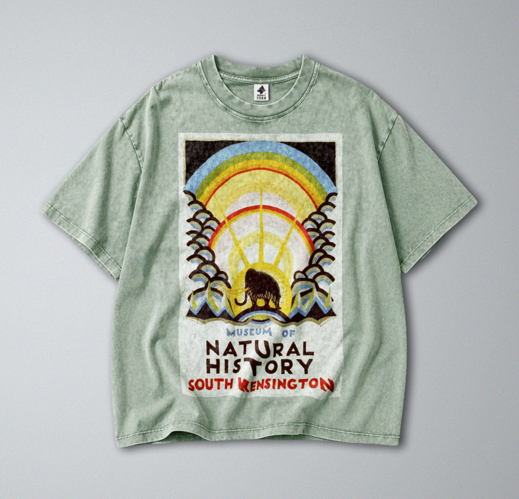 Oversized Snow Washed Cotton Tee - Museum of Natural History Print
