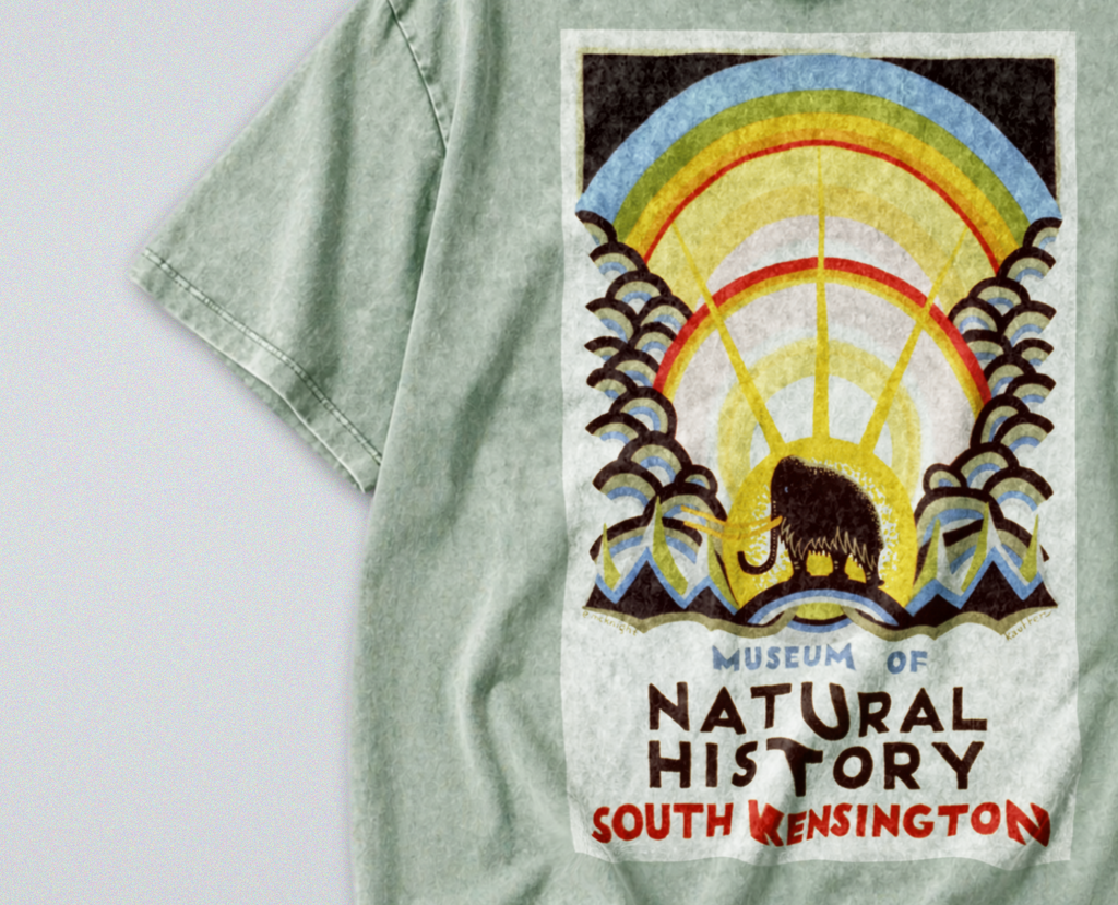 Oversized Snow Washed Cotton Tee - Museum of Natural History Print