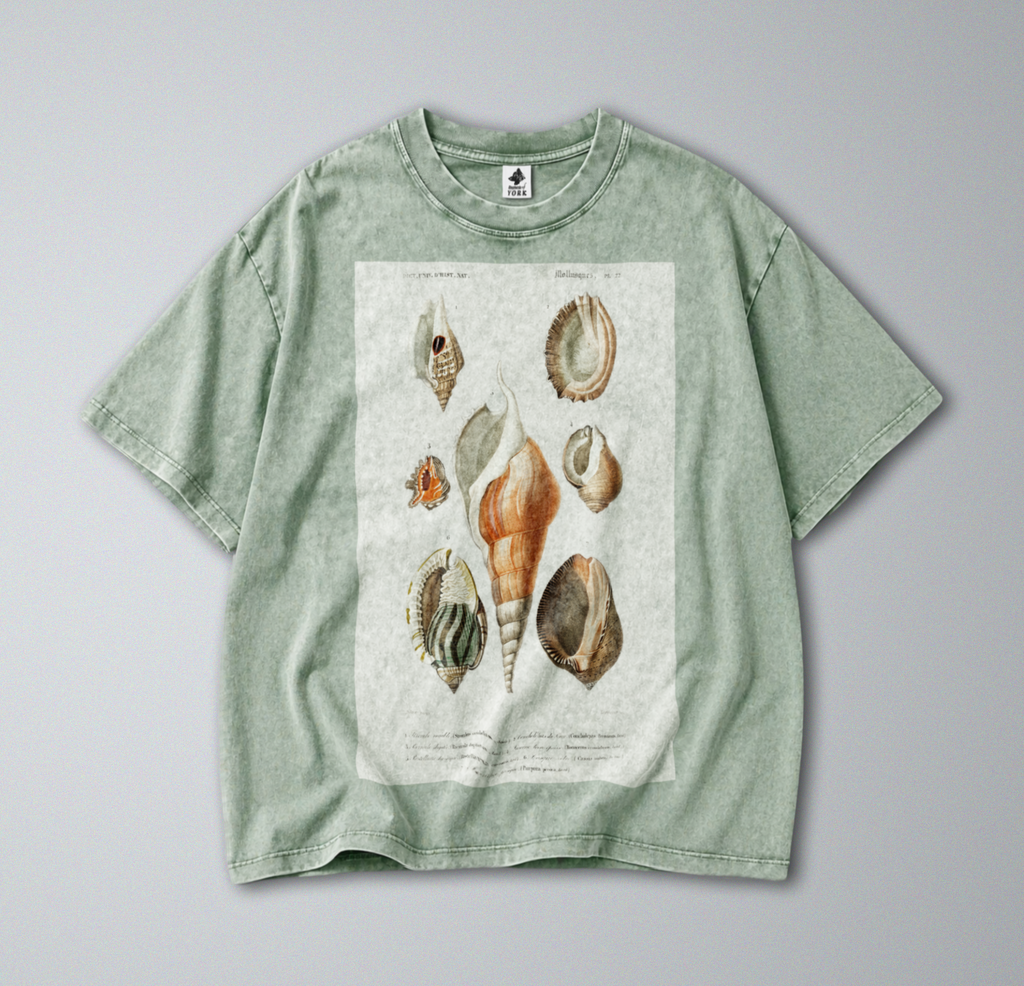 Oversized Snow Washed Cotton Tee - Seashells & Molluscs Print
