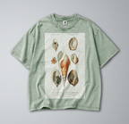 Oversized Snow Washed Cotton Tee - Seashells & Molluscs Print