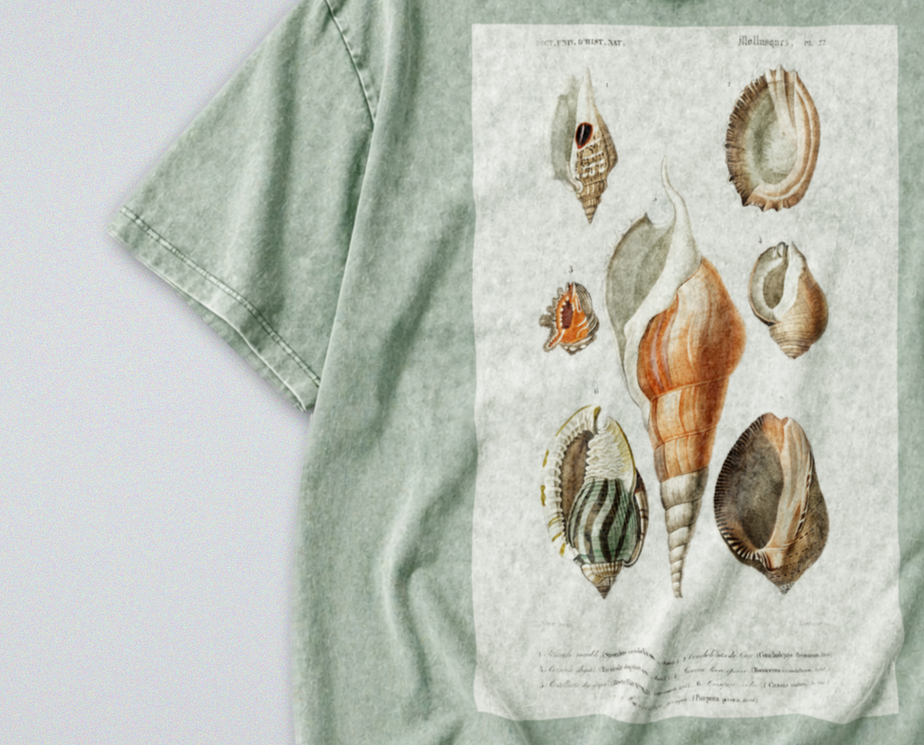 Oversized Snow Washed Cotton Tee - Seashells & Molluscs Print