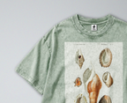 Oversized Snow Washed Cotton Tee - Seashells & Molluscs Print