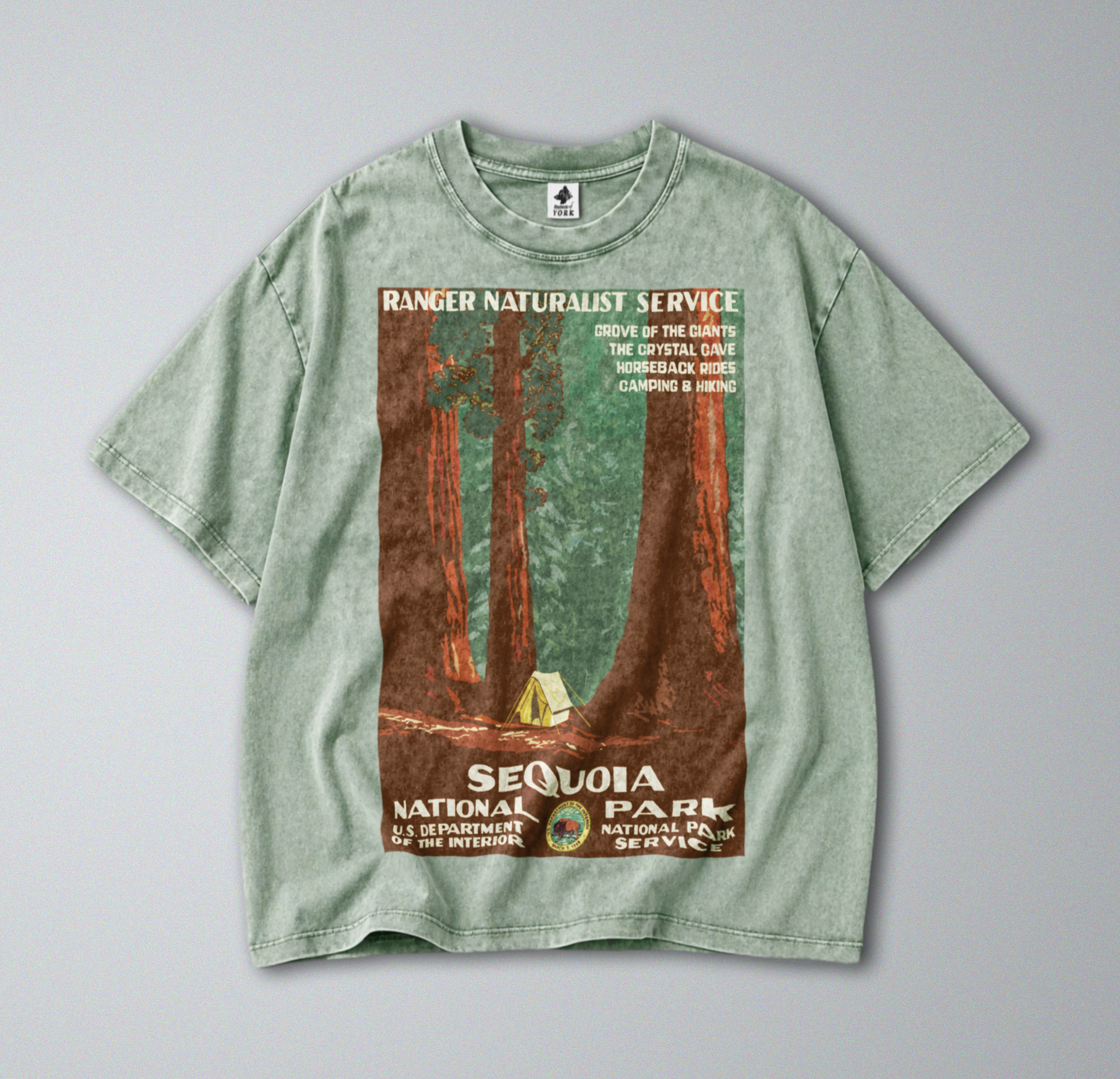 Oversized Snow Washed Cotton Tee - Sequoia National Park Print
