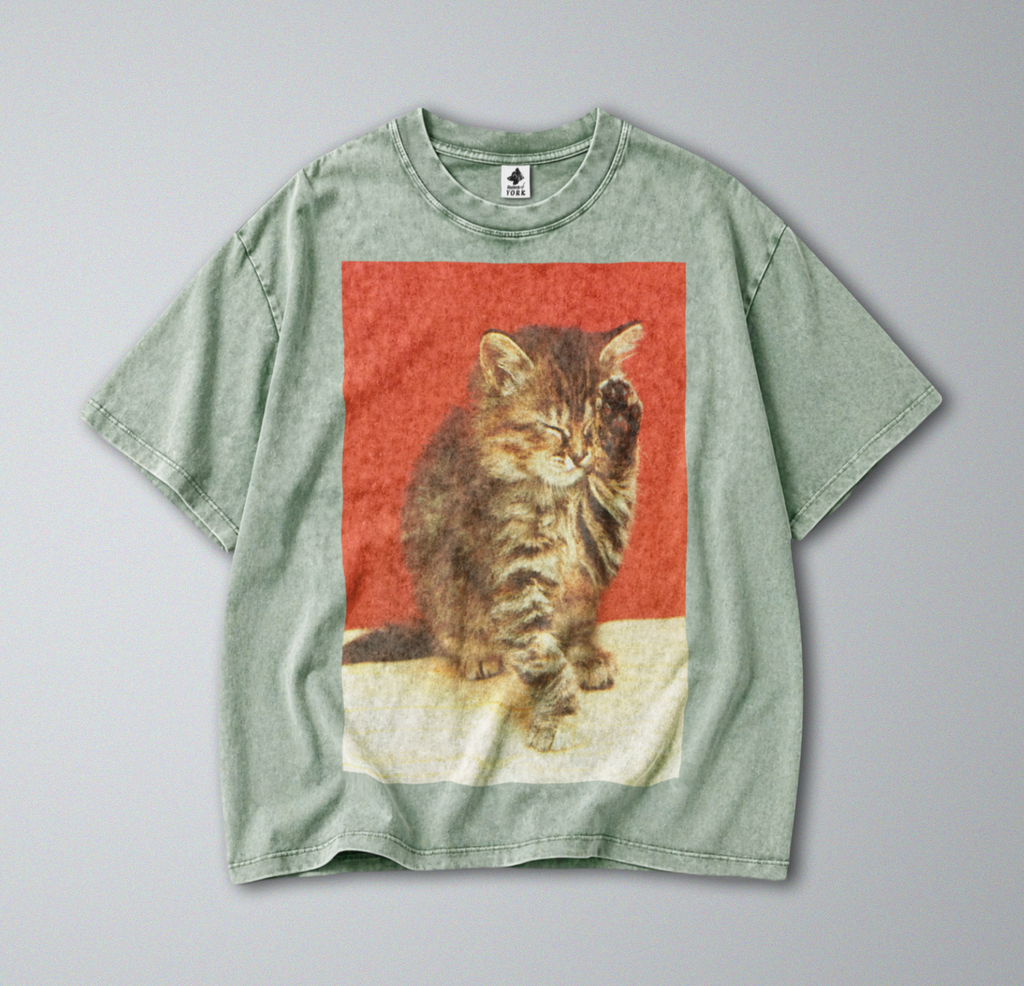 Oversized Snow Washed Cotton Tee - Cute Sleepy cat Print
