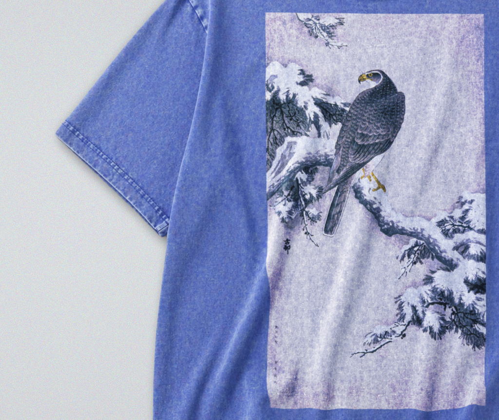 Oversized Snow Washed Cotton Tee - Hawk on Snowy Branch Print