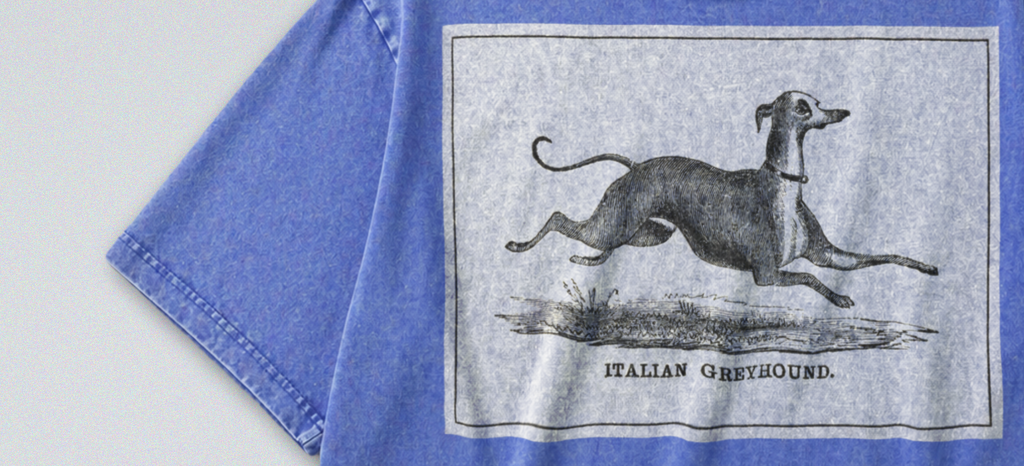 Oversized Snow Washed Cotton Tee - Black & White Italian Greyhound Print