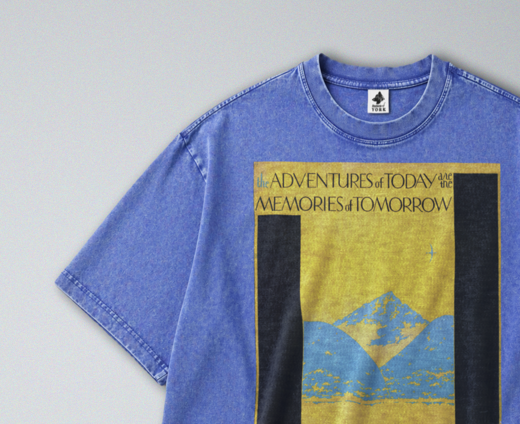 Oversized Snow Washed Cotton Tee - National Parks Print