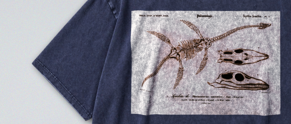 Oversized Snow Washed Cotton Tee - Plesiosaur Skeleton Fossil