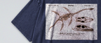 Oversized Snow Washed Cotton Tee - Plesiosaur Skeleton Fossil
