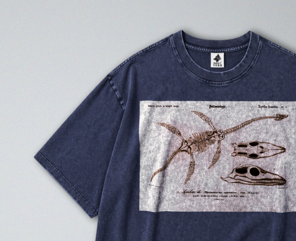 Oversized Snow Washed Cotton Tee - Plesiosaur Skeleton Fossil