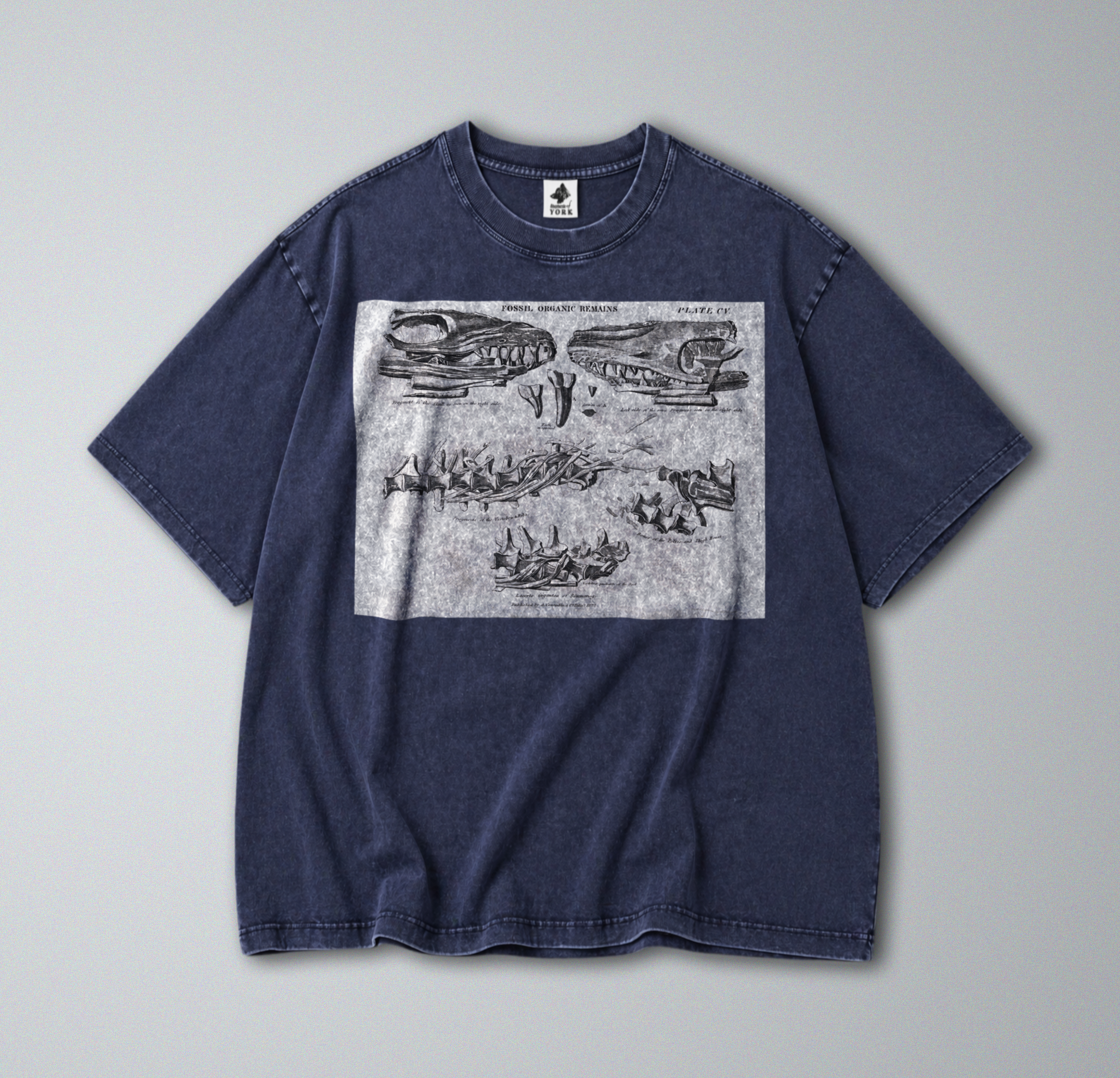 Oversized Snow Washed Cotton Tee - Mosasaurus Skull Fossil Print
