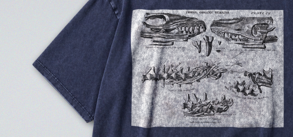 Oversized Snow Washed Cotton Tee - Mosasaurus Skull Fossil Print