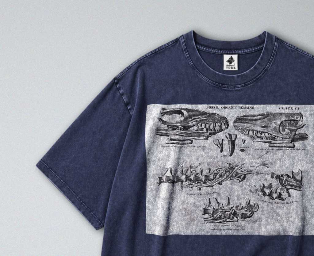 Oversized Snow Washed Cotton Tee - Mosasaurus Skull Fossil Print