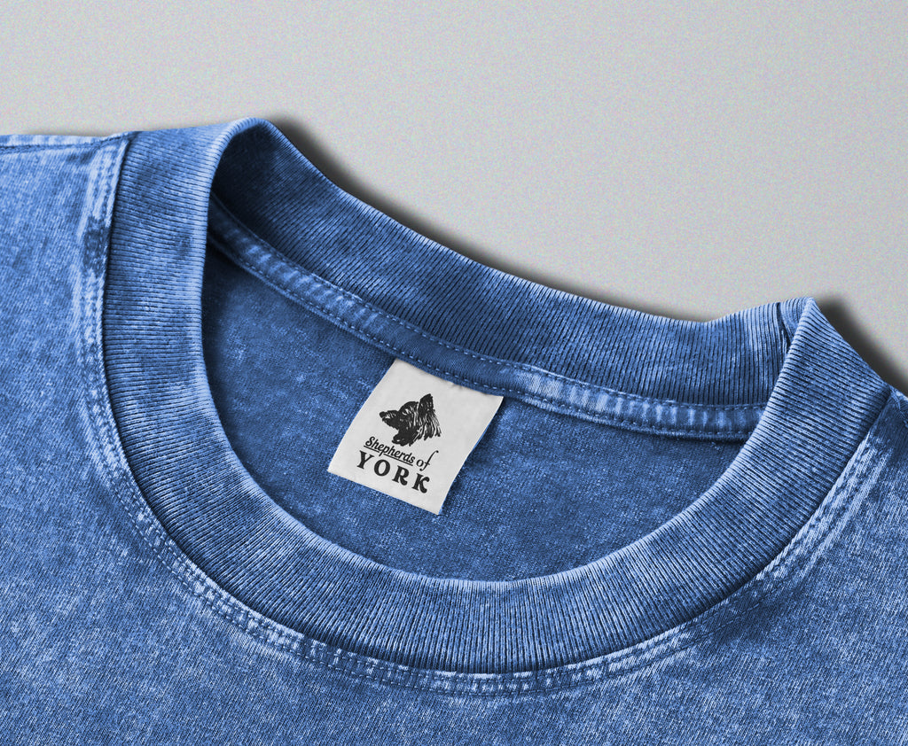 Oversized Snow Washed Cotton Tee - National Parks Print