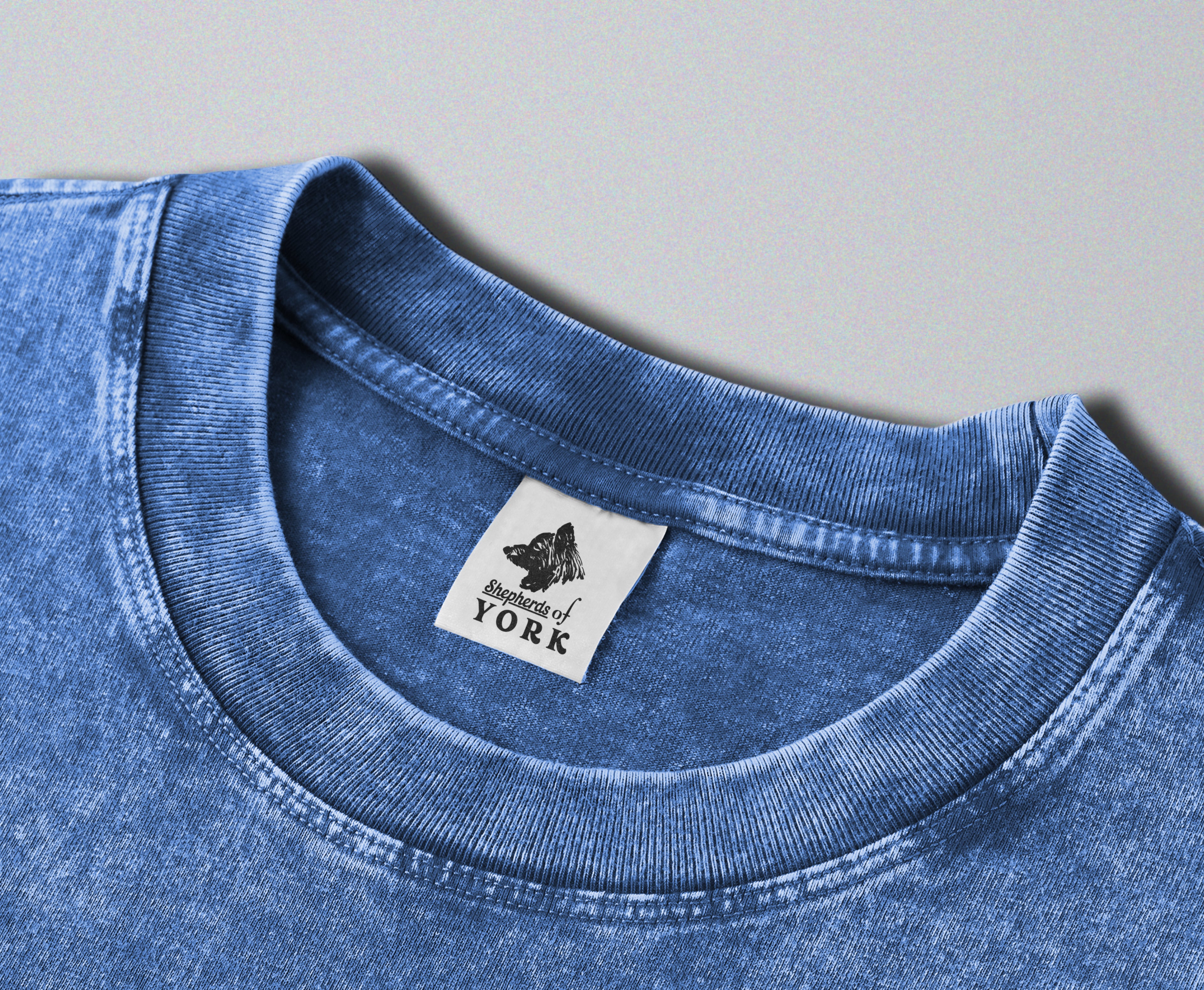 Oversized Snow Washed Cotton Tee - National Parks Print